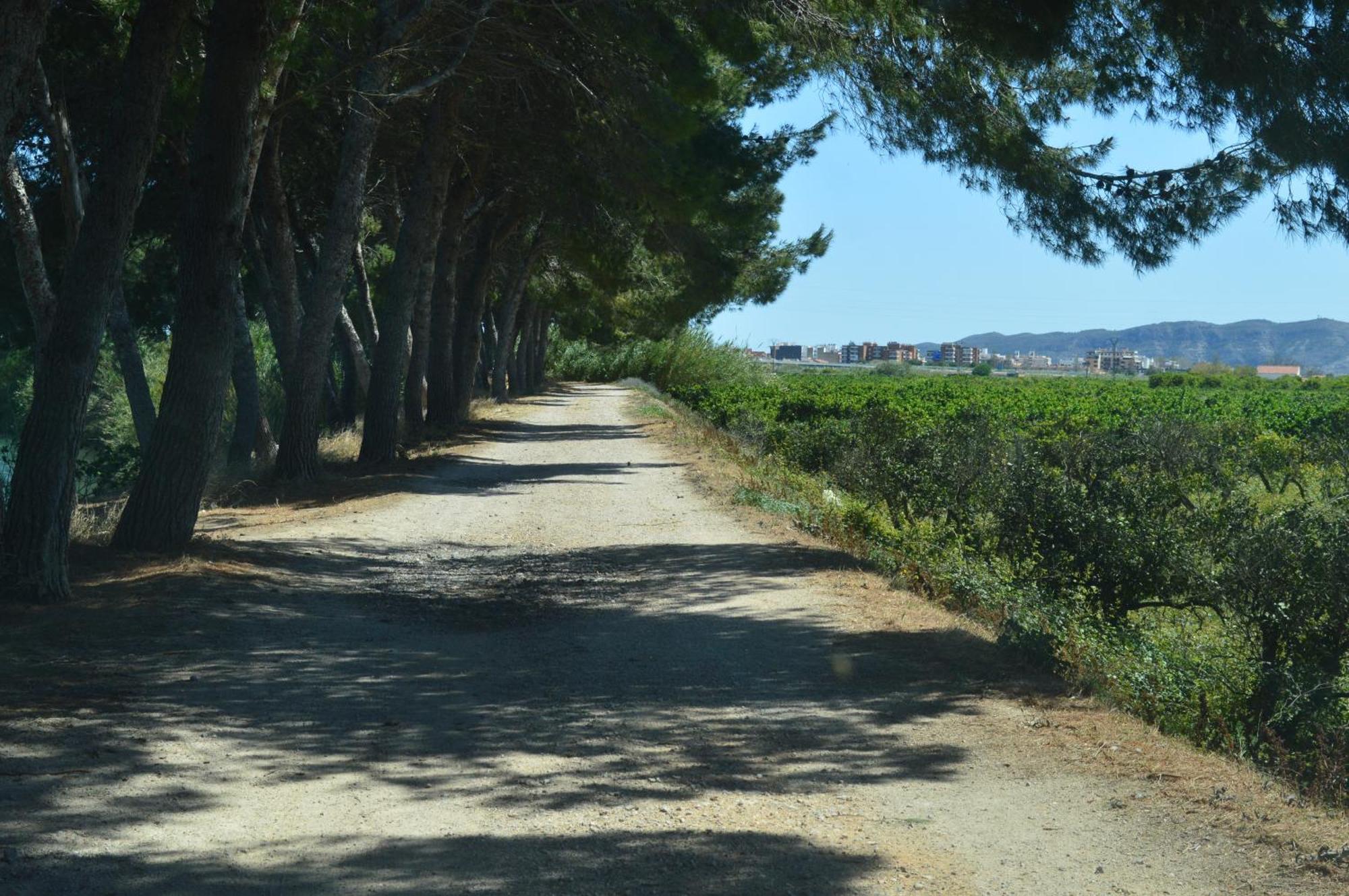 Casa Del Riu. Βίλα Riola Εξωτερικό φωτογραφία
